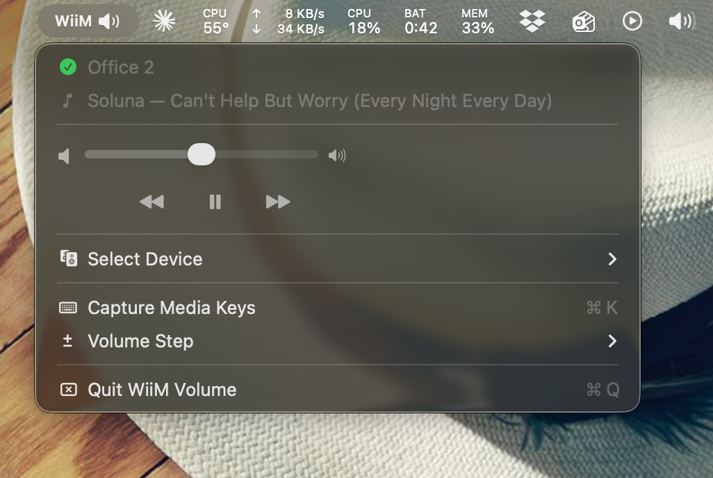 WiiM Volume Screenshot